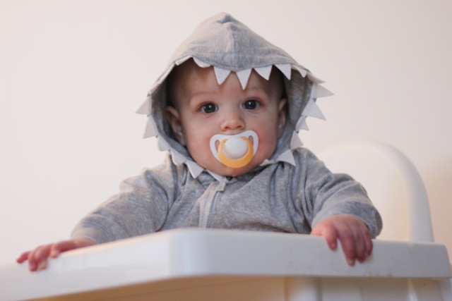 Baby in Shark Hoodie