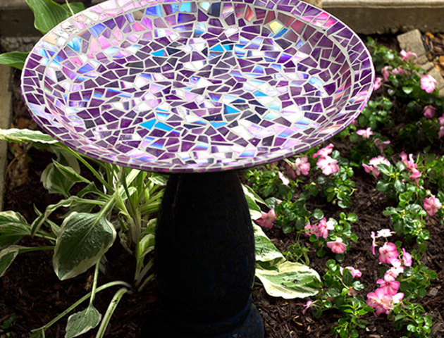 Bird Bath
