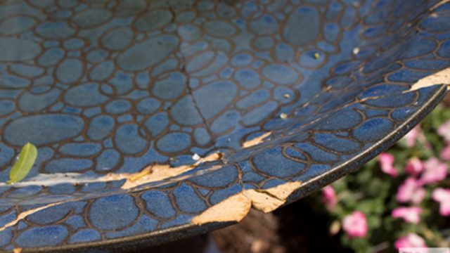 Birdbath with DVDs