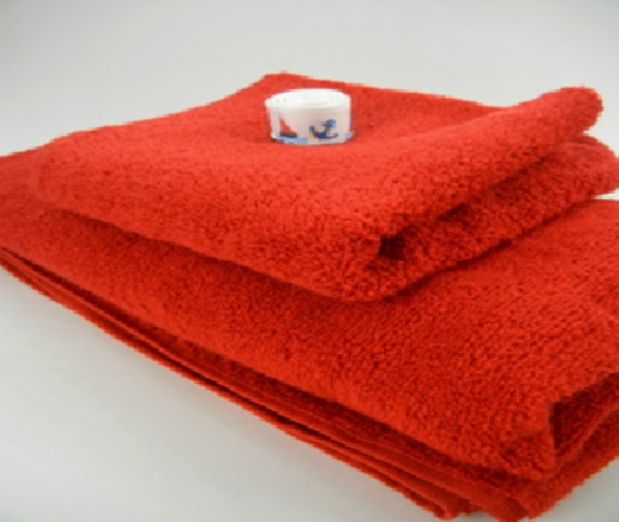 Hooded Towel 1