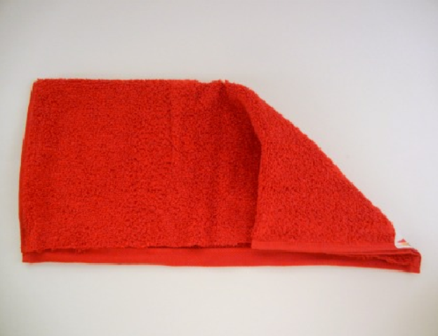 Hooded Towel 9
