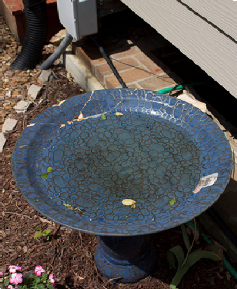 Tutorial of Birdbath with DVDs 18
