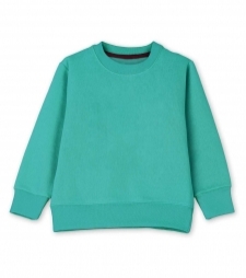 16698248800_Toddler-Boy-Green-Plain-sweatshirts-by-AllurePremium-01.jpg