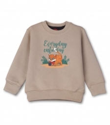 16698949540_Toddler-Beige-Playing-Cat-boy-sweatshirts-by-AllurePremium-01.jpg