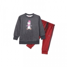 17696267620_AllureP_Fleece_Suit_Grey_Little_Pengwin.jpg
