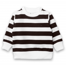 17696311470_AllurePremium_Sweat_Shirt_Brown_White_Stripes.jpg