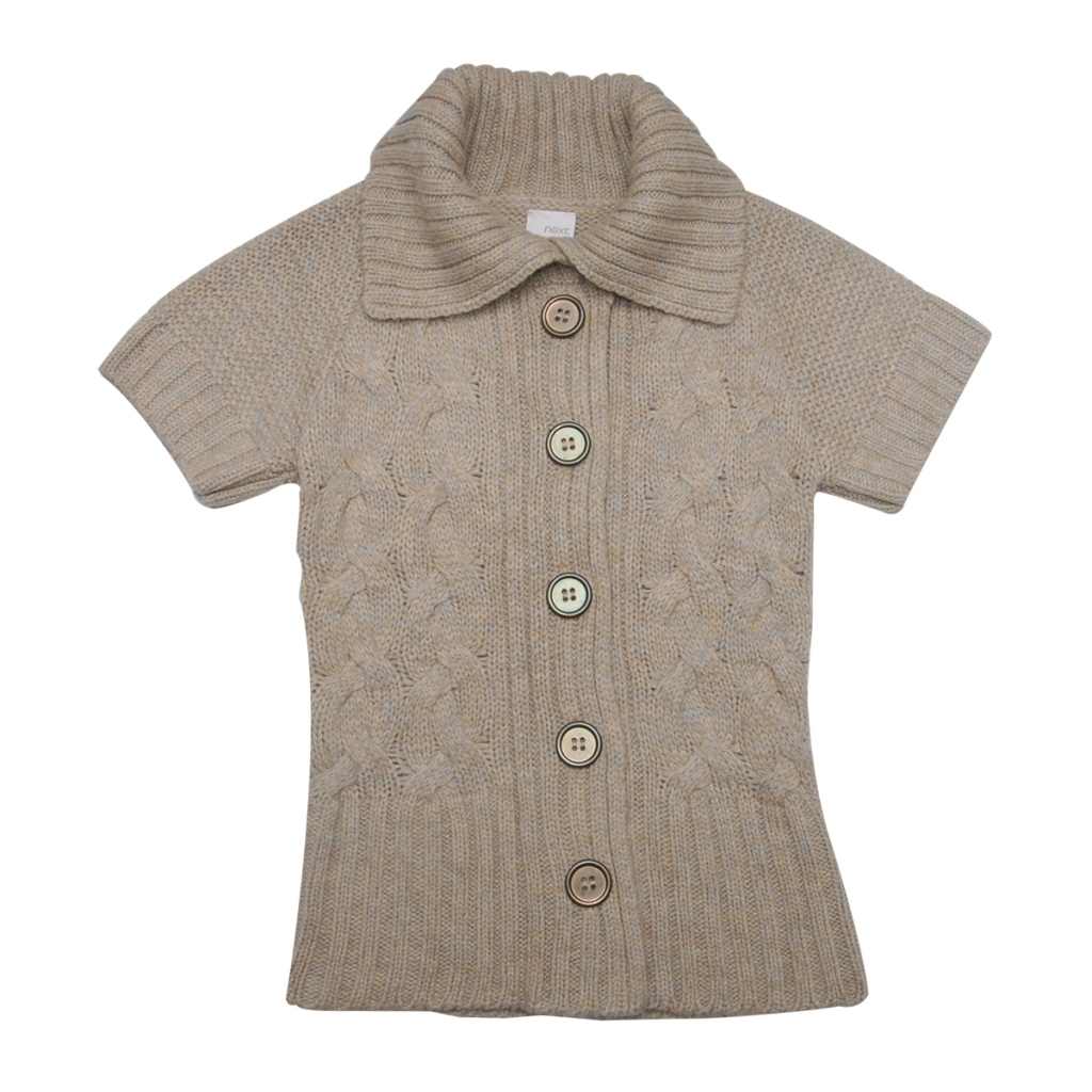 polo button down sweater
