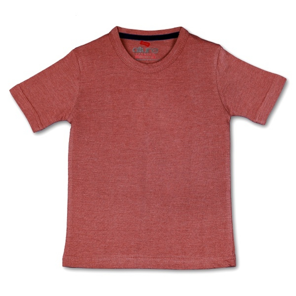 16232612080_AllureP_Boys_T-Shirt_Plain_Rust.jpg
