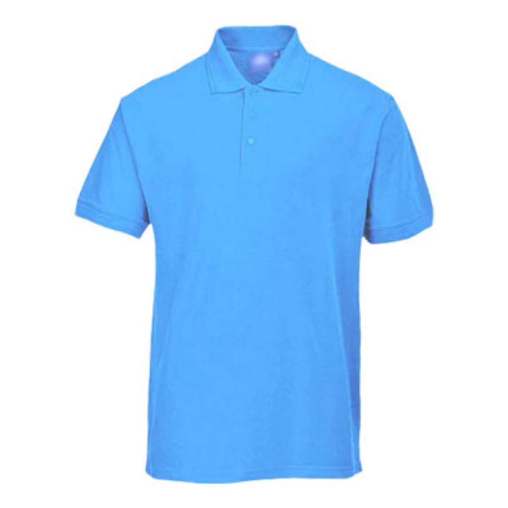 Buy Sky Blue Polo TShirt By Blue Stone in Pakistan online shopping