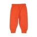 16337273471_Allurepremium_Trousers_Orange_(back).jpg