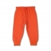 16338151712_Allurepremium_Trousers_Orange.jpg