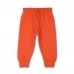 16608230992_Allurepremium_Trousers_Orange.jpg