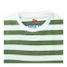 16631457661_Green-White.jpg