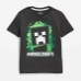 16853701090_Minecraft_Half_Sleeved_summer_T-shirt_For_Kids.jpg