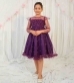 16958155931_Violet_Princess_Pearl_Style_Net_frock_Dress_by_Modest1.jpg