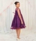 16958155932_Violet_Princess_Pearl_Style_Net_frock_Dress_by_Modest2.jpg