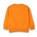 16968469412_orange_back.jpeg