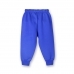 16968614072_blue_back.jpeg