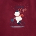 17693651882_Maroon_Snowy_Cycle.jpg